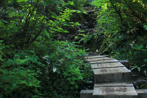c0228945_67443.jpg
