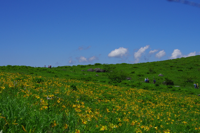 d0186245_17150.jpg