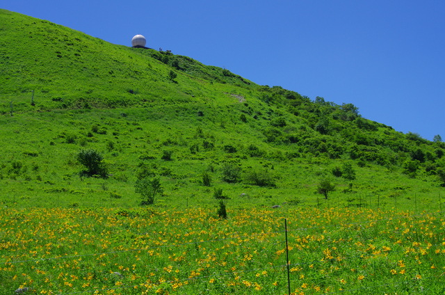 d0186245_192986.jpg