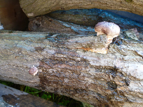 b0069848_53927.jpg