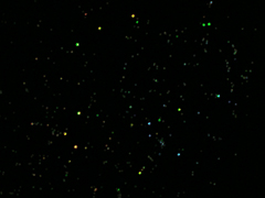 e0005548_05024.gif