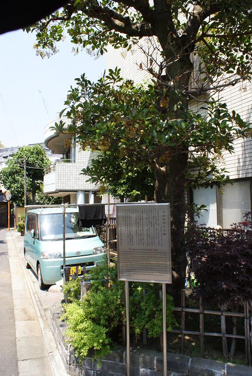 人力車猫ミーちゃんと一緒に谷中巡り_b0063958_21101025.jpg
