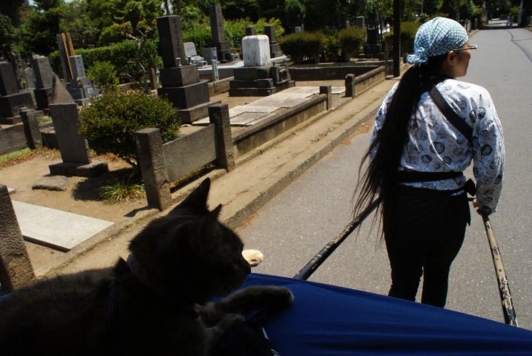 人力車猫ミーちゃんと一緒に谷中巡り_b0063958_2171595.jpg