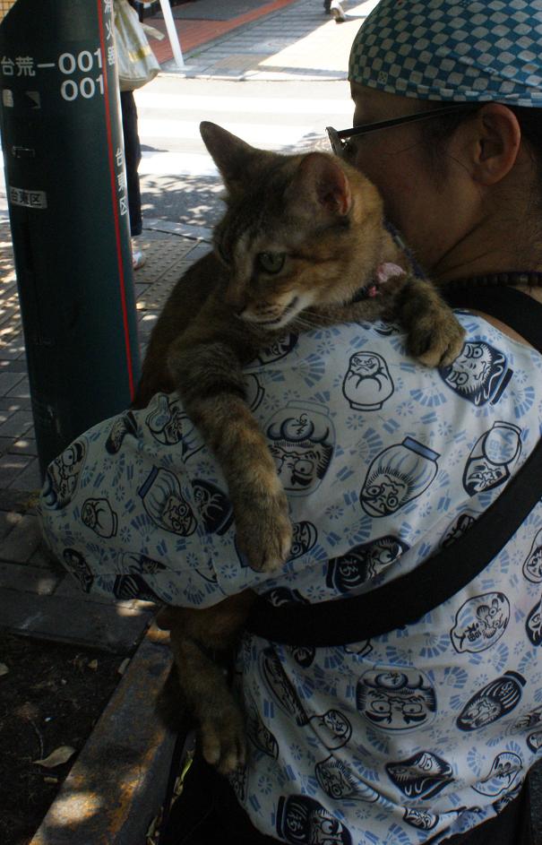 人力車猫ミーちゃんと一緒に谷中巡り_b0063958_219720.jpg