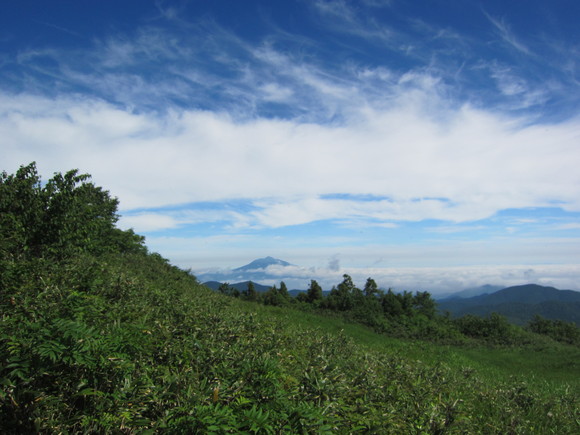 f0204469_03695.jpg