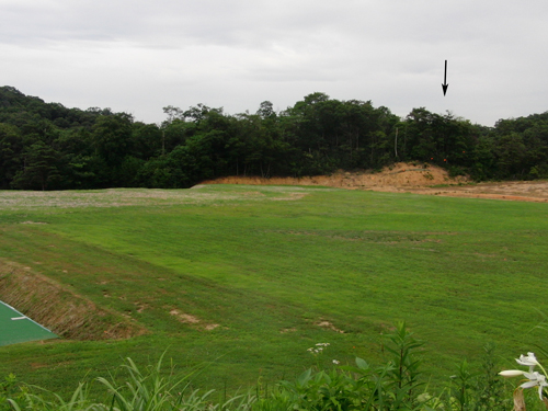 e0131399_00504.jpg