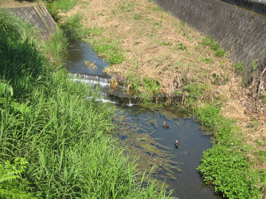 b0097200_16384672.jpg