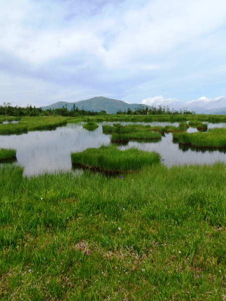 尾瀬-天空の湿原アヤメ平_c0177814_11123915.jpg