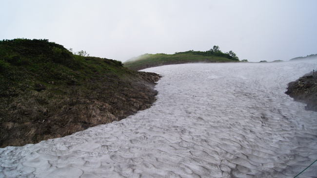 高山植物咲く八方尾根トレッキング_f0233414_6273798.jpg