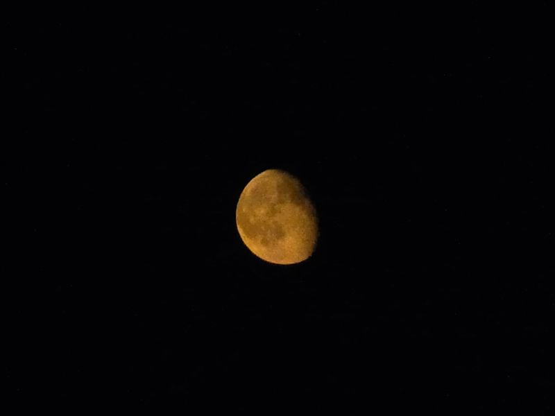 昨夜の月と今日の上天気_c0025115_19562118.jpg