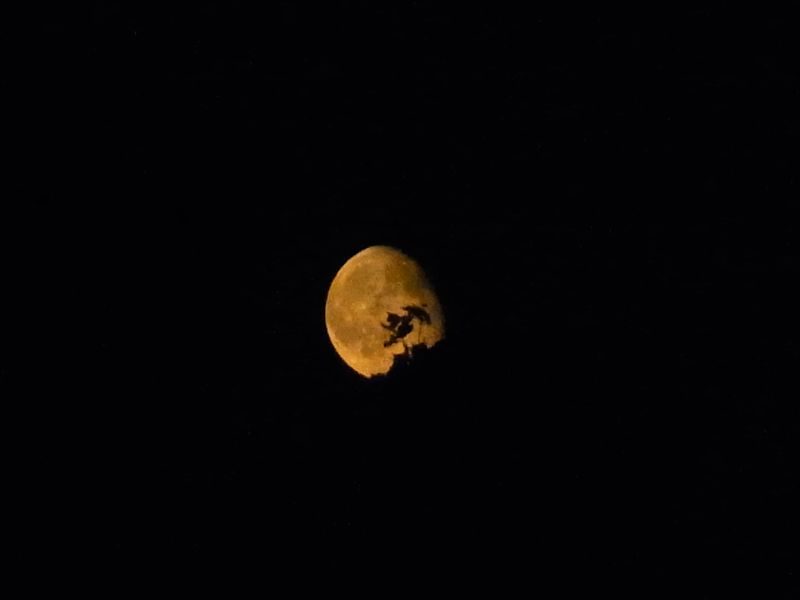 昨夜の月と今日の上天気_c0025115_19562310.jpg