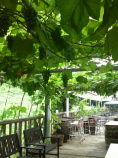 c0152816_20473268.jpg