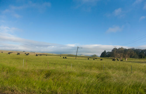 c0182022_2221332.jpg