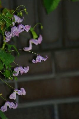 f0170524_14314051.jpg