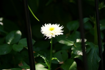 f0170524_1449980.jpg