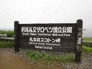 f0181524_03954.jpg