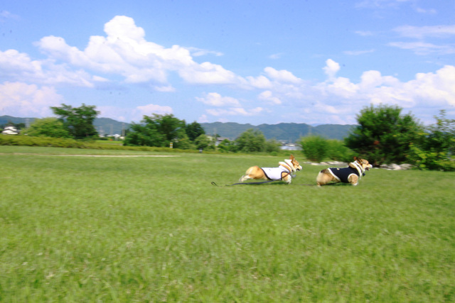 e0071225_2125310.jpg