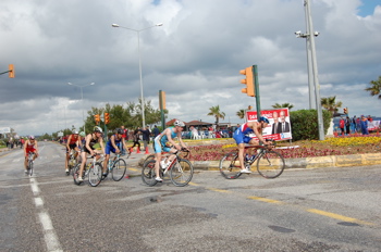 b0171428_53663.jpg