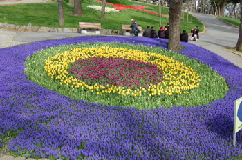 b0171428_54016.jpg