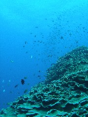 11.7.20 海の日連休、終了~。_b0100730_19522245.jpg