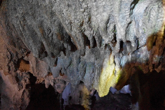 c0113733_0523918.jpg