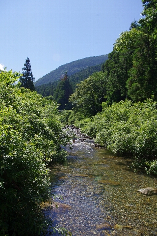 c0113733_1162515.jpg