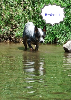 d0081541_14262.jpg