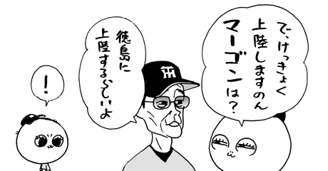 7月19日(火)【広島−阪神】(マツダ)雨天中止_f0105741_12121578.gif