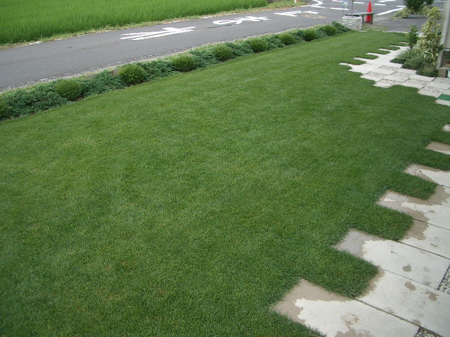 来年こそは2011・・・その3_a0155844_15511397.jpg