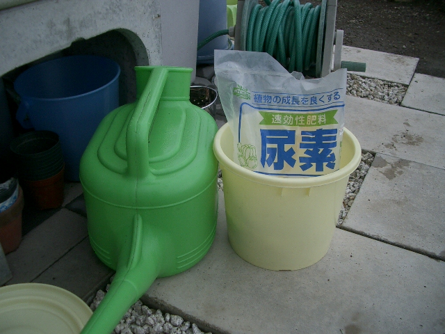 来年こそは2011・・・その3_a0155844_15593343.jpg