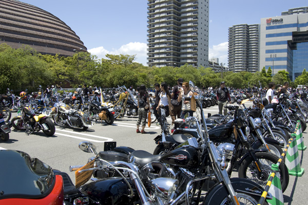 New Order Chopper Show 2011 #2_e0182444_22361479.jpg