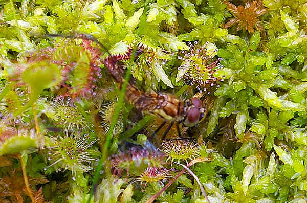 c0081645_23161550.jpg