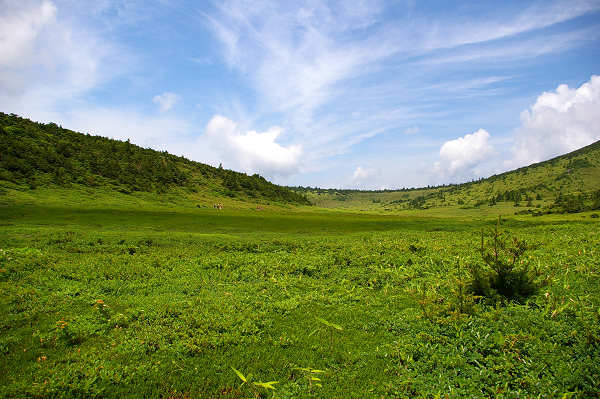 c0081645_2395910.jpg