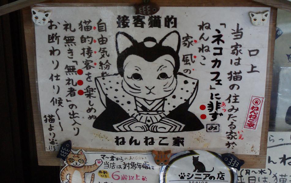 谷中の猫スポット探訪 その1 ねんねこ家_b0063958_21224324.jpg
