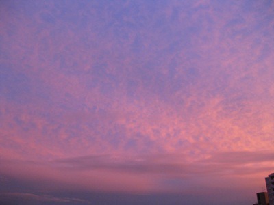 c0190960_6133782.jpg