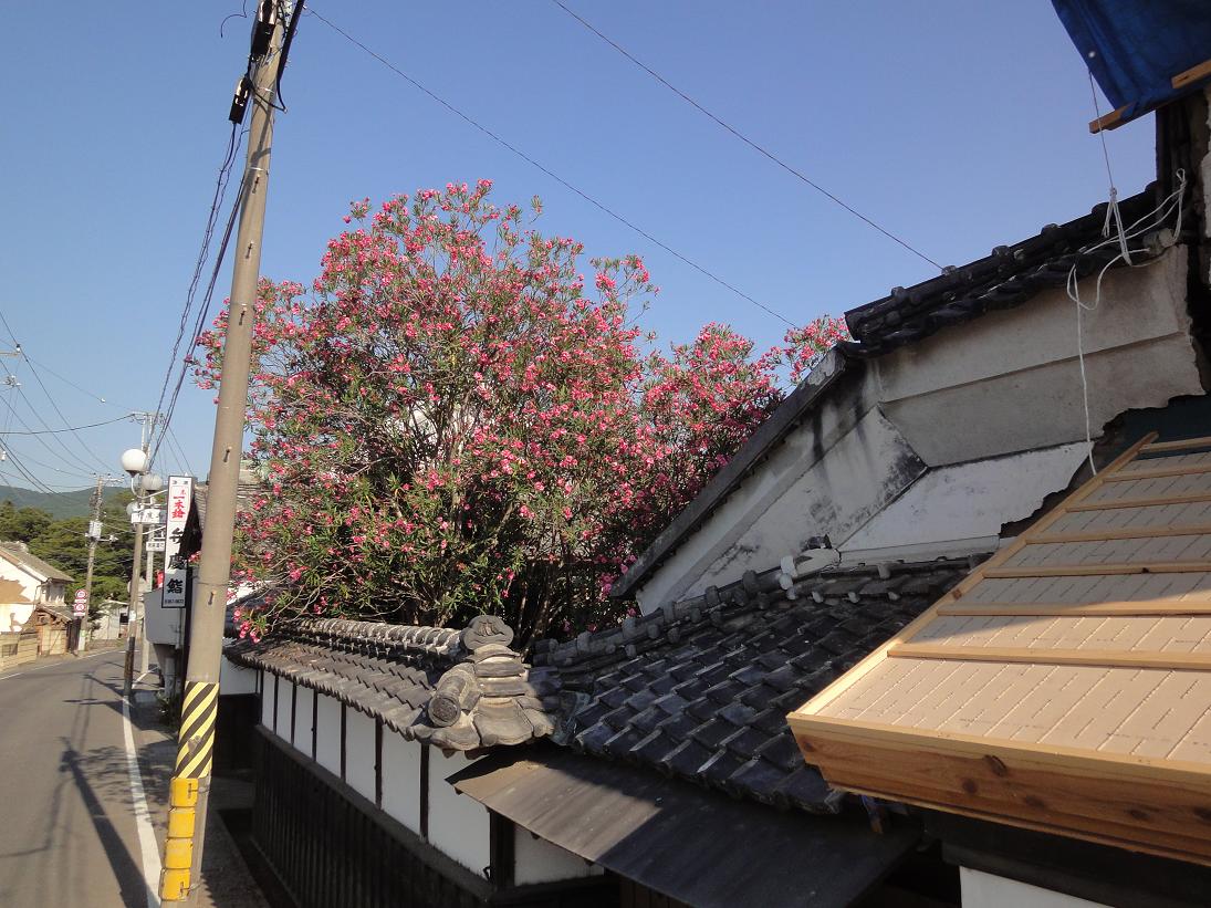 店蔵の修復　その３_b0124462_3544562.jpg