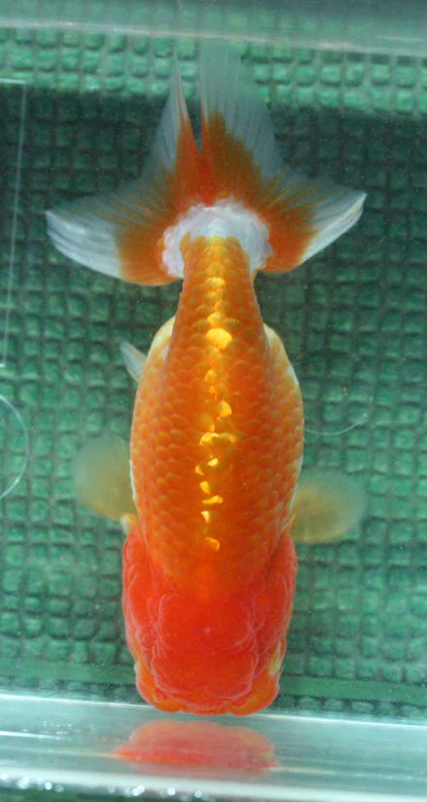a0162263_1922632.jpg