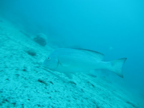 f0238563_1446338.jpg