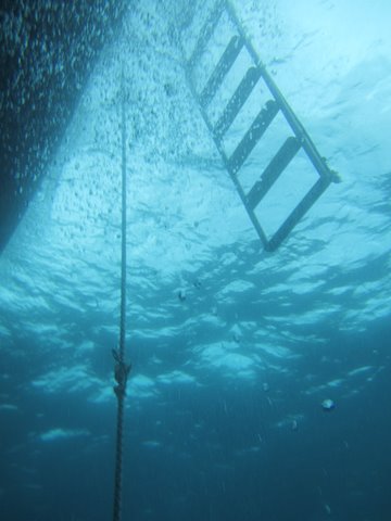 f0238563_1446437.jpg