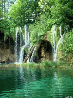 a0063364_0345174.gif