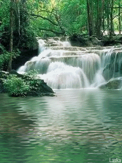 a0063364_0362287.gif