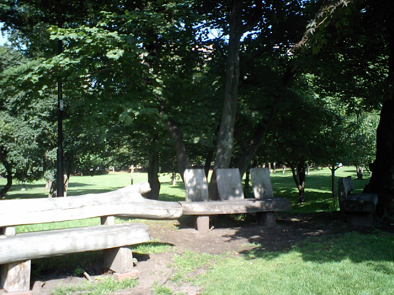 d0098665_18122334.jpg