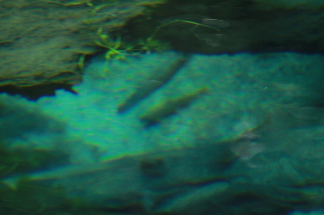 f0000866_17534.jpg