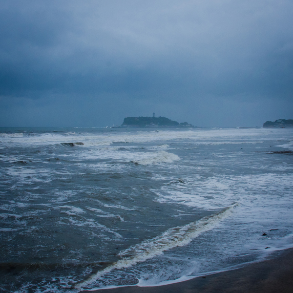 台風とアジサイ。_b0022268_21502941.jpg