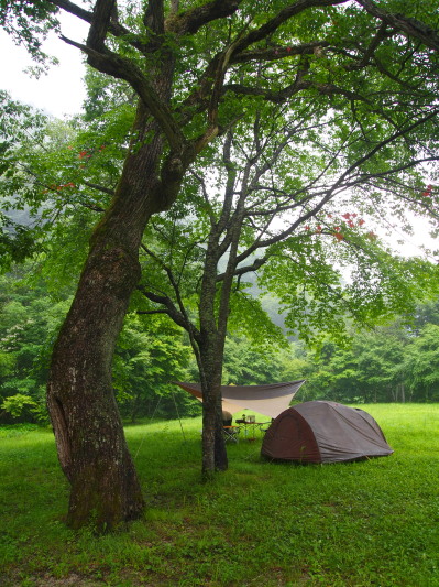 夏の湯西川キャンプ　初日_c0122670_6412818.jpg