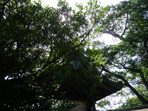 姫の島　興居島へ　「中厳前神社」　（こんなところに・・）_e0165472_23223811.jpg