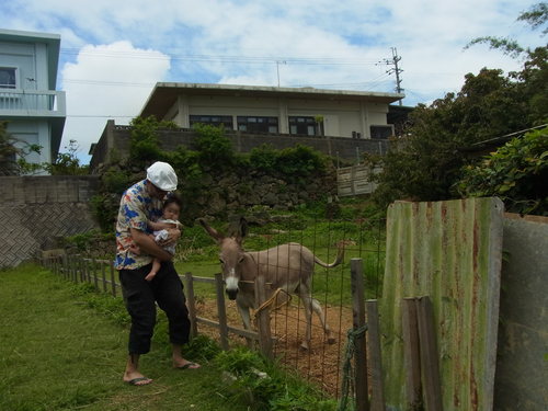 沖縄の写真をたくさん_e0222881_012393.jpg