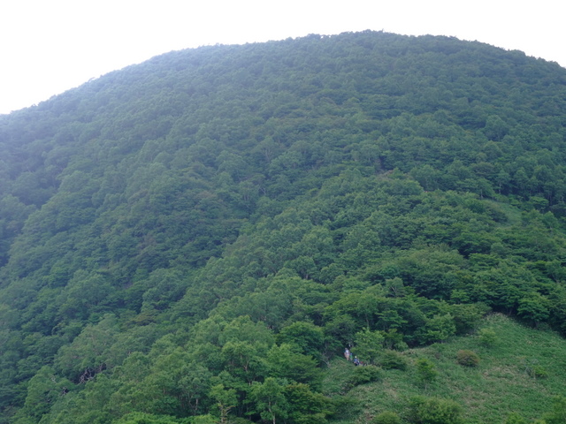 赤城山(黒檜山〜駒ヶ岳)　〜７月１０日(日)〜　その③_a0043982_1617478.jpg