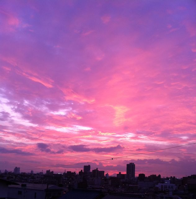 f0234683_856331.jpg