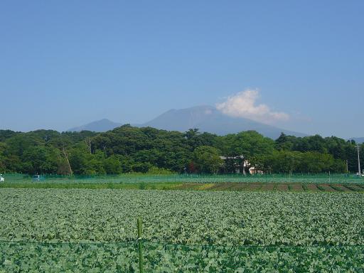 軽井沢　＜炎暑の埼玉から脱出＞_b0134988_17424013.jpg